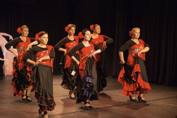 Jyväskylän Flamencoyhdistys